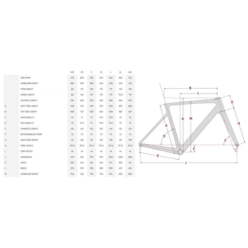 FOCUS IZALCO MAX 9.9 - Dura Ace Di2 - Vélo de route carbone - 2026 - graphitbrush – Image 5