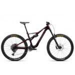 RALLON M10 2023 – Image 2